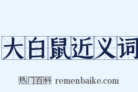 大白鼠近义词是什么意思的图片
